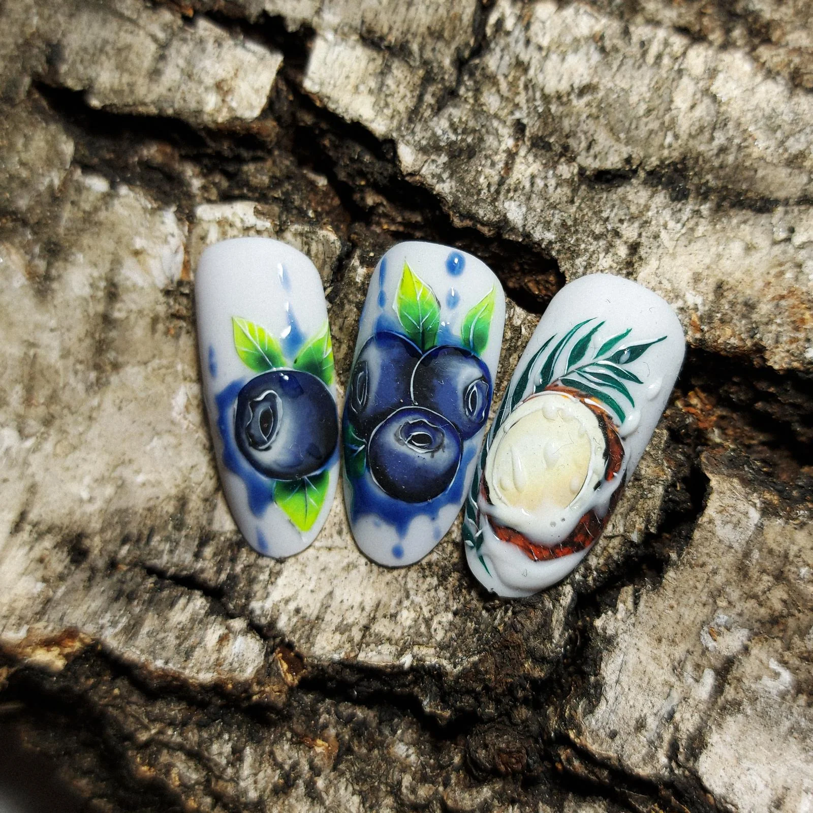 Soutěžní nehtové umění s motivy borůvek a kokosu